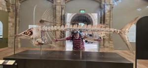 IMG-20250615-WA0014