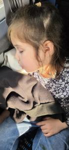 IMG-20250615-WA0020