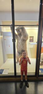 IMG-20250615-WA0033