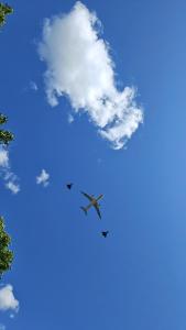 IMG 20250614 130255590
